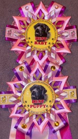 image.jpg (354.07 КБ, Просмотров: 4741) image.jpg