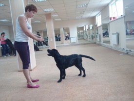 image.jpg (443.14 КБ, Просмотров: 6259) image.jpg