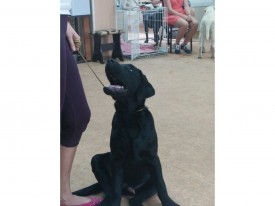 image.jpg (288.08 КБ, Просмотров: 6267) image.jpg