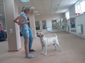 image.jpg (459.52 КБ, Просмотров: 5586) image.jpg