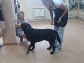 image.jpg (374.87 КБ, Просмотров: 6267) image.jpg