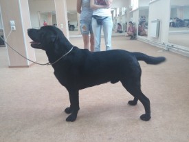 image.jpg (415.46 КБ, Просмотров: 5586) image.jpg