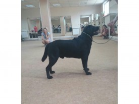 image.jpg (296.01 КБ, Просмотров: 6263) image.jpg