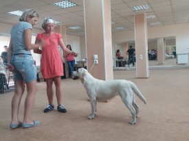 image.jpg (443.43 КБ, Просмотров: 5599) image.jpg