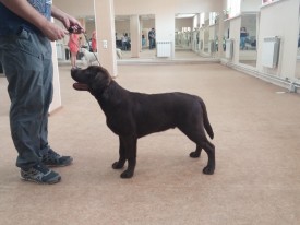 image.jpg (391.35 КБ, Просмотров: 6088) image.jpg