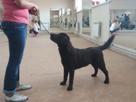 image.jpg (442.65 КБ, Просмотров: 5586) image.jpg