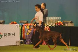 3551946.jpg (13.83 КБ, Просмотров: 34725) 3551946.jpg