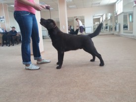 image.jpg (452.39 КБ, Просмотров: 6070) image.jpg