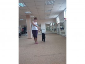 image.jpg (260.47 КБ, Просмотров: 5599) image.jpg