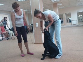 image.jpg (305.99 КБ, Просмотров: 6085) image.jpg