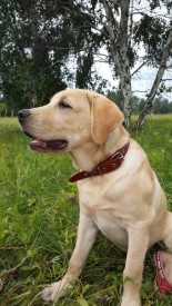 UKWz3h-LS8c.jpg (78.44 КБ, Просмотров: 4269) UKWz3h-LS8c.jpg