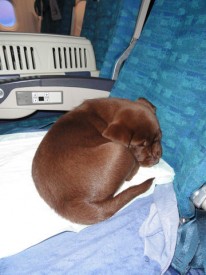 image.jpg (40.89 КБ, Просмотров: 1659) image.jpg