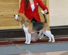2-nK7frarfo.jpg (67.99 КБ, Просмотров: 4712) 2-nK7frarfo.jpg