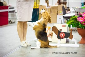 zLwtKB0CJrw.jpg (78.75 КБ, Просмотров: 4230) zLwtKB0CJrw.jpg