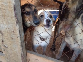 0ERK3Okxmcg.jpg (121.72 КБ, Просмотров: 9336) 0ERK3Okxmcg.jpg