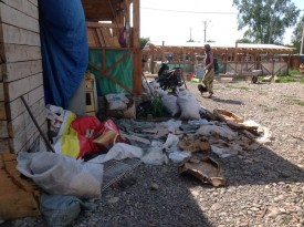 gT9zJfH2O60.jpg (150.87 КБ, Просмотров: 9332) gT9zJfH2O60.jpg