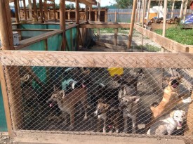 VngEYyBG7OI.jpg (196.32 КБ, Просмотров: 8804) VngEYyBG7OI.jpg