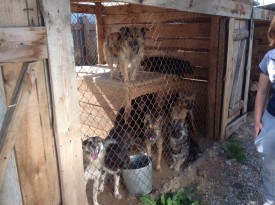 vT1fYK8n700.jpg (147.19 КБ, Просмотров: 9336) vT1fYK8n700.jpg