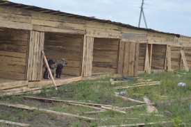 getImage.jpg (58.43 КБ, Просмотров: 9333) getImage.jpg