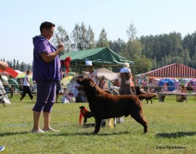 10559763_251691748374979_2812281677920695240_n.jpg (98.51 КБ, Просмотров: 5535) 10559763_251691748374979_2812281677920695240_n.jpg