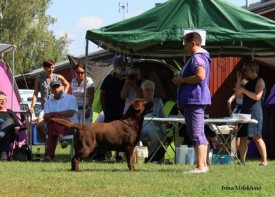 10590553_251689321708555_6064307686781910867_n.jpg (99.92 КБ, Просмотров: 5074) 10590553_251689321708555_6064307686781910867_n.jpg