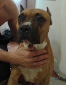 ctaff.jpg (238.27 КБ, Просмотров: 1509) ctaff.jpg