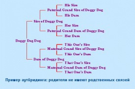outbreeding.jpg (42.82 КБ, Просмотров: 4226) outbreeding.jpg