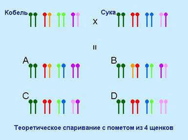 gen__clip_image002.jpg (11.3 КБ, Просмотров: 4226) gen__clip_image002.jpg