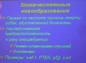 i0040rp.jpg (18.6 КБ, Просмотров: 4225) i0040rp.jpg