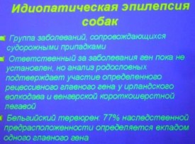 i0043rp.jpg (24.42 КБ, Просмотров: 4288) i0043rp.jpg