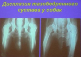 i0044rp.jpg (15.3 КБ, Просмотров: 4225) i0044rp.jpg