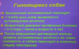 i0048rp.jpg (25.55 КБ, Просмотров: 4226) i0048rp.jpg