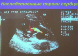 i0050rp.jpg (21.11 КБ, Просмотров: 4288) i0050rp.jpg