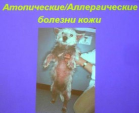 i0052rp.jpg (14.28 КБ, Просмотров: 4288) i0052rp.jpg