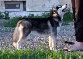 wxbteR0pUCY.jpg (133.34 КБ, Просмотров: 1120) wxbteR0pUCY.jpg