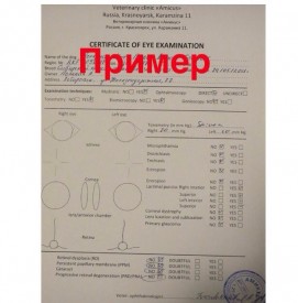 d4KAhIZO9es.jpg (67.63 КБ, Просмотров: 3107) d4KAhIZO9es.jpg