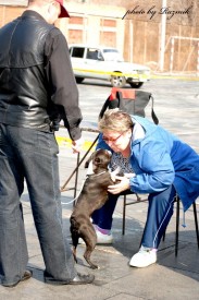 80af37fd4cfd.jpg (114.2 КБ, Просмотров: 5657) 80af37fd4cfd.jpg