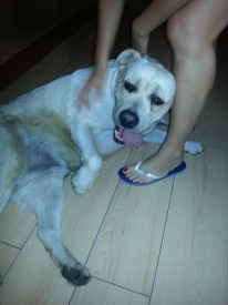 getImage (2).jpg (72.94 КБ, Просмотров: 2089) getImage (2).jpg