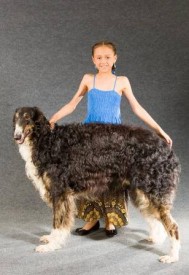 559697_229505530530502_388327414_n.jpg (24.15 КБ, Просмотров: 2038) 559697_229505530530502_388327414_n.jpg