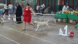 бег.jpg (492.56 КБ, Просмотров: 9781) бег.jpg