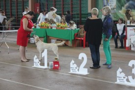 стойка.jpg (311.64 КБ, Просмотров: 9788) стойка.jpg