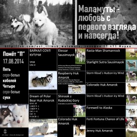 ANTONOV SOBAKI For internet.jpg (683.04 КБ, Просмотров: 1964) ANTONOV SOBAKI For internet.jpg