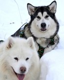 40YXGQn8Raw.jpg (6.05 КБ, Просмотров: 1961) 40YXGQn8Raw.jpg