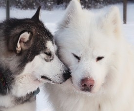 фото1.jpg (355.75 КБ, Просмотров: 2084) фото1.jpg