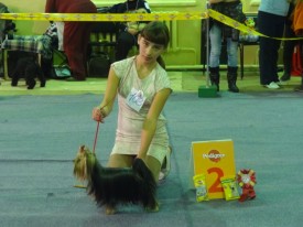 kJcLCD3r.jpg (109.05 КБ, Просмотров: 12149) kJcLCD3r.jpg