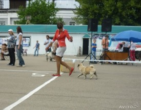 588070677.jpg (58.85 КБ, Просмотров: 12857) 588070677.jpg