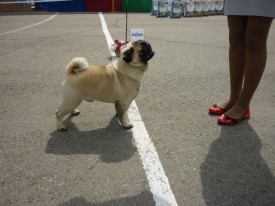 6fjZ45lr.jpg (210.93 КБ, Просмотров: 12147) 6fjZ45lr.jpg