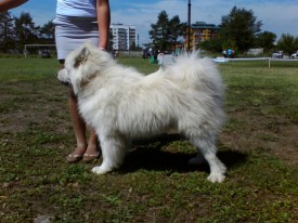 XlyR78XG.jpg (73.12 КБ, Просмотров: 12844) XlyR78XG.jpg