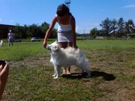 XlyR78XH.jpg (70.58 КБ, Просмотров: 12831) XlyR78XH.jpg