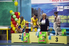 veBVk97z.jpg (130.15 КБ, Просмотров: 12156) veBVk97z.jpg